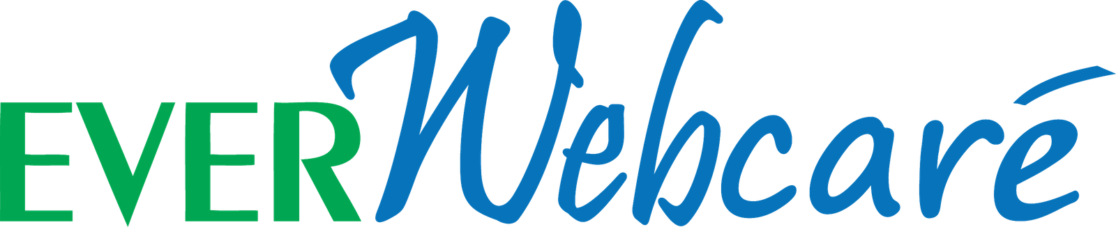 EverWebcare
